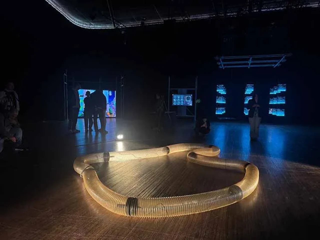 Ars Electronica İstanbul 2025: Dijital sanatın geleceği Zorlu PSM'de keşfediliyor