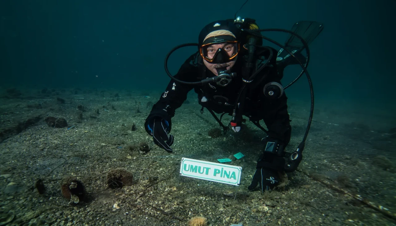 PİNA-İZ projesi’nde müjde: Bebek sayısı 10’a yükseldi