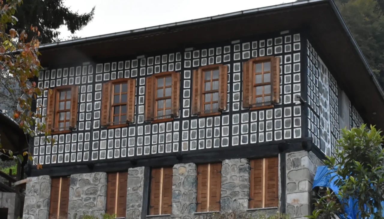 Artvin'in Arılı köyü: Geleneksel mimarinin açık hava müzesi