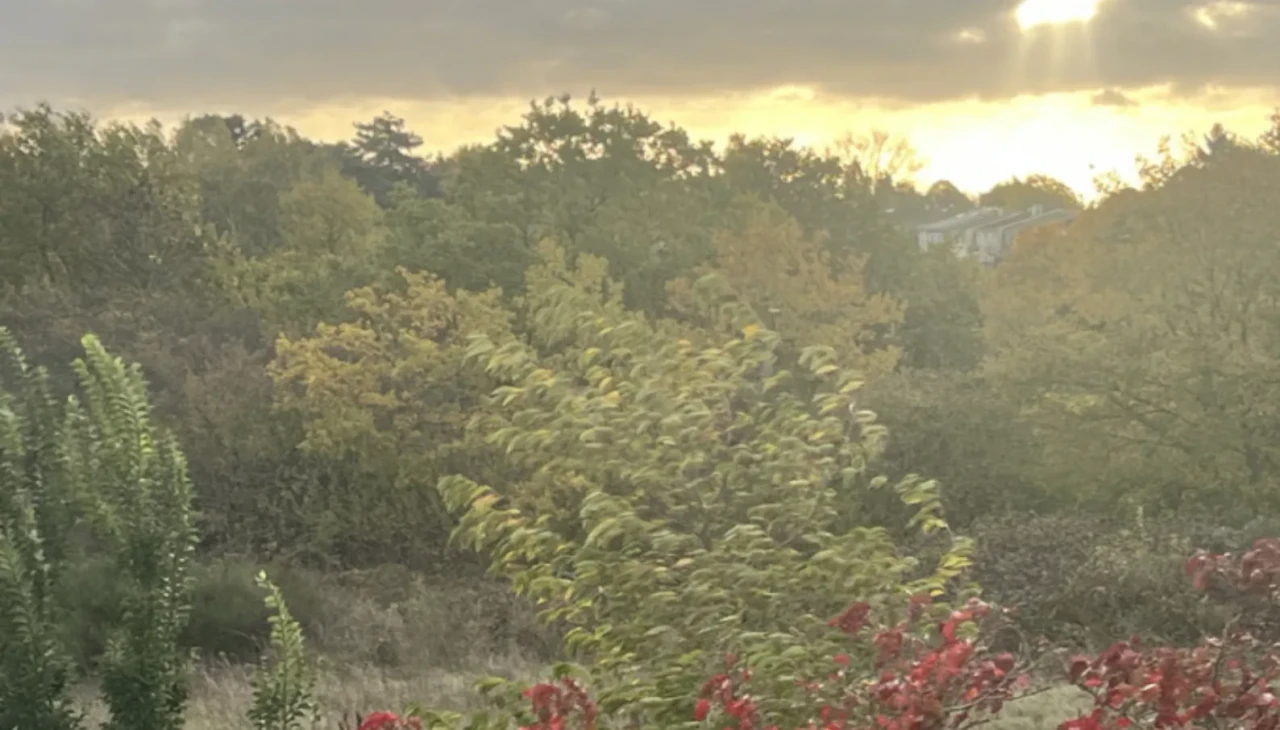 Fransa’da Benjamin Fırtınası alarmı: Paris’te parklar ve bahçeler kapatıldı