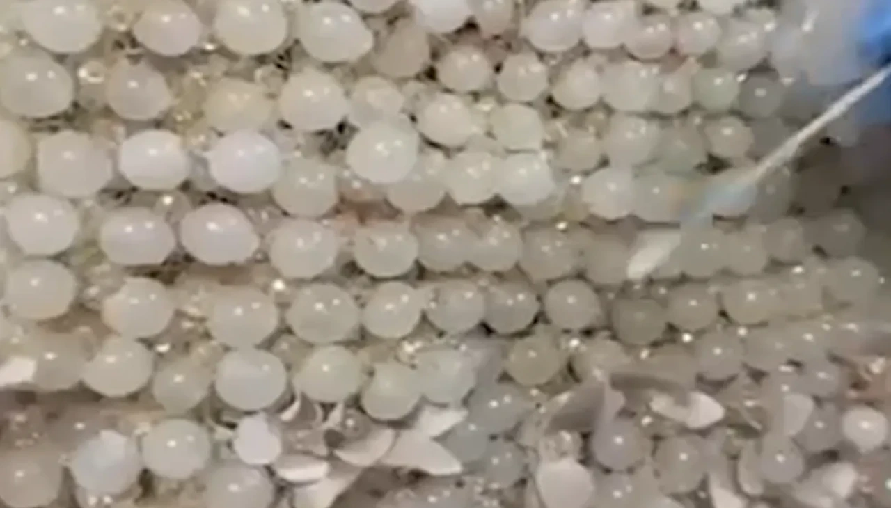 Boncuk görünümlü uyuşturucu: Kayseri Jandarması 25 kilo ele geçirdi