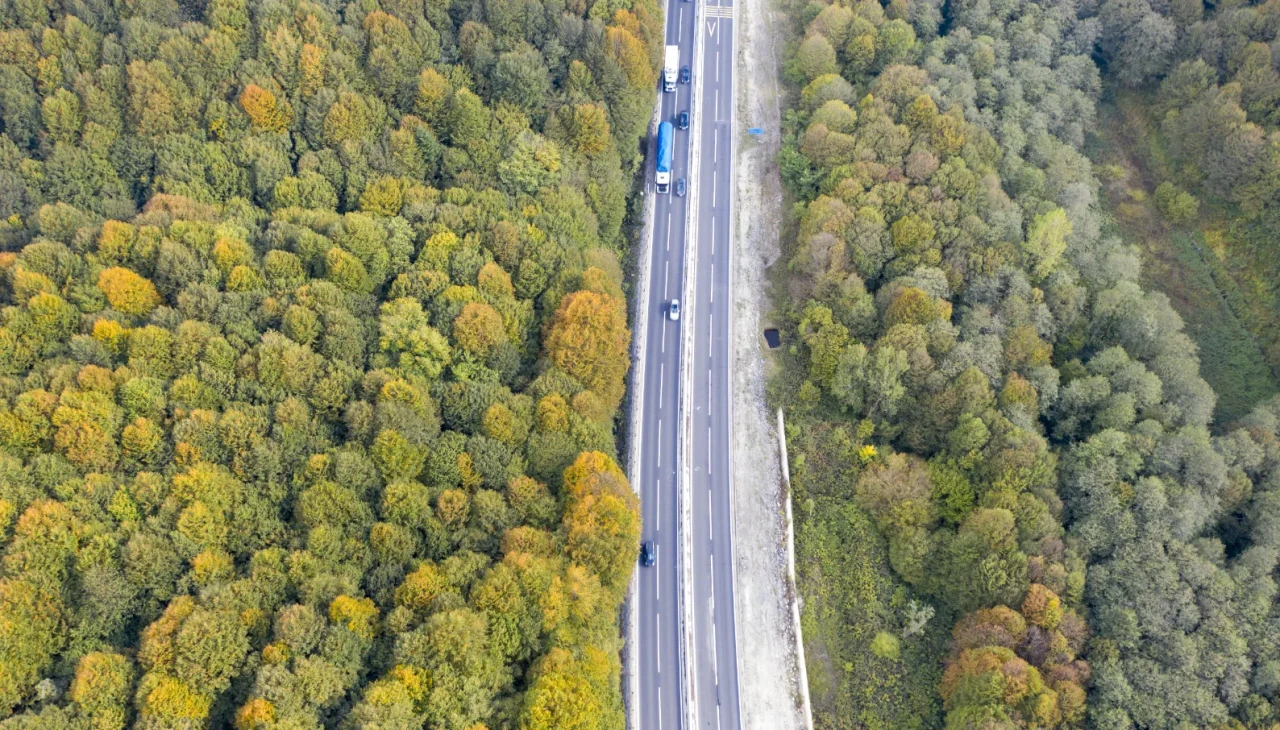 Sonbaharın Bolu’da ki yansıması: D-100 kara yolunda renkli yolculuk