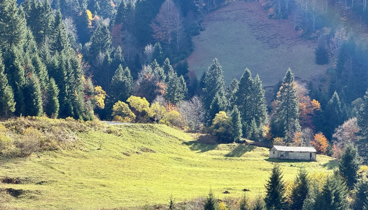 Karadeniz’in güzellikleri: Zigana Dağı’nda sonbahar renkleri