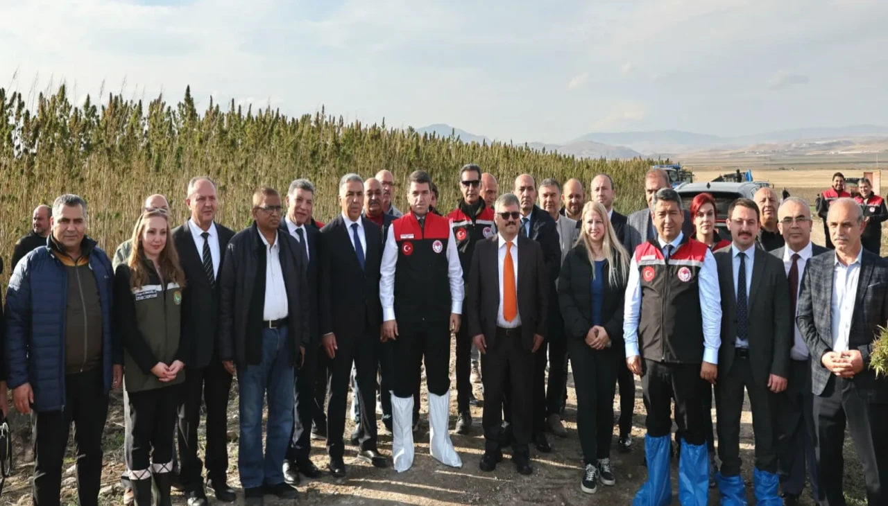 Amasya’da katma değerli ve doğa dostu üretim: Vezir Keneviri hasadı