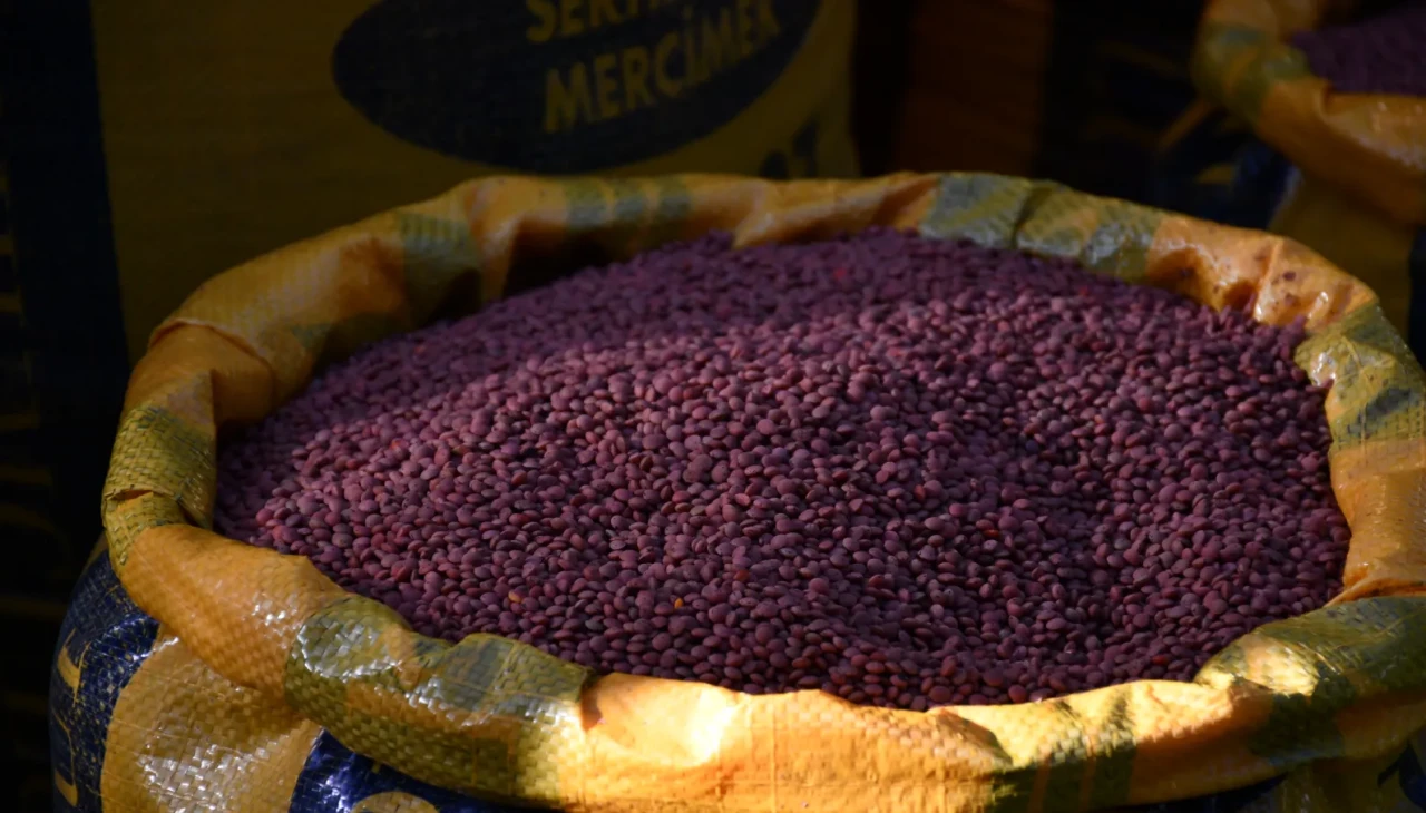 Batman’da 210 çiftçiye 152 ton hibeli mercimek tohumu dağıtıldı
