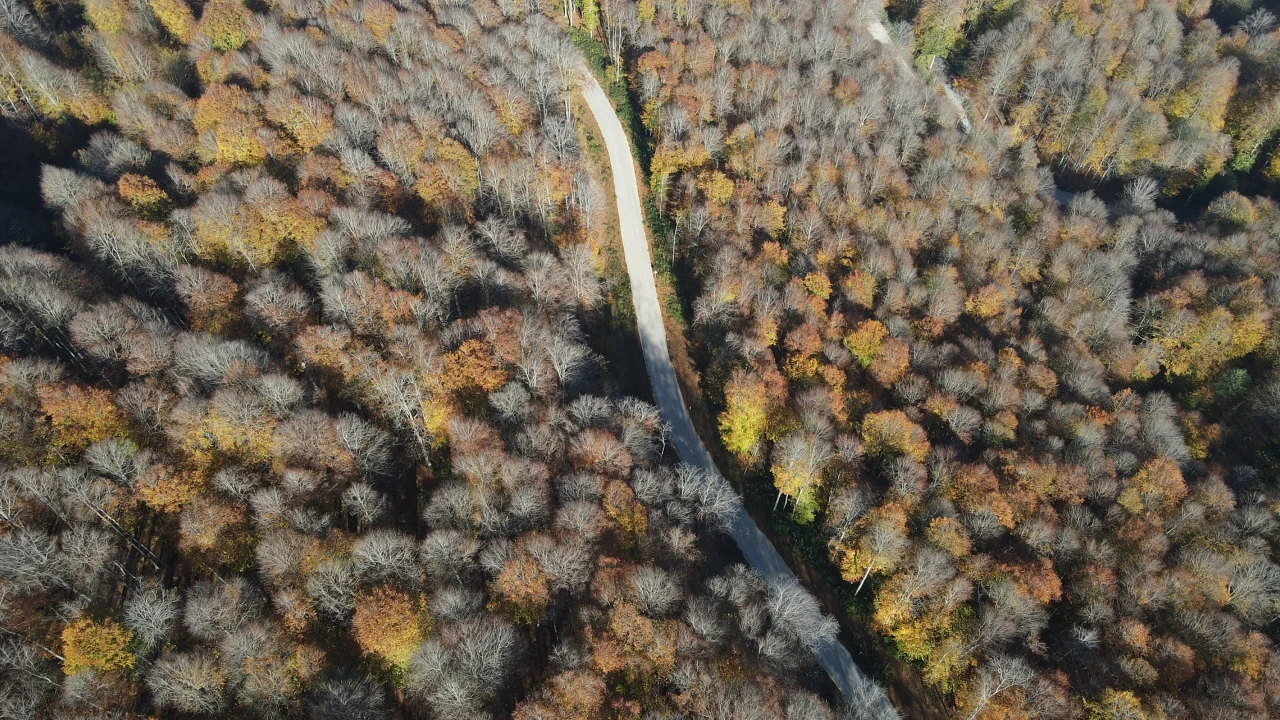 Nebiyan Dağı'nda sonbahar: Doğaseverler için renk cümbüşü