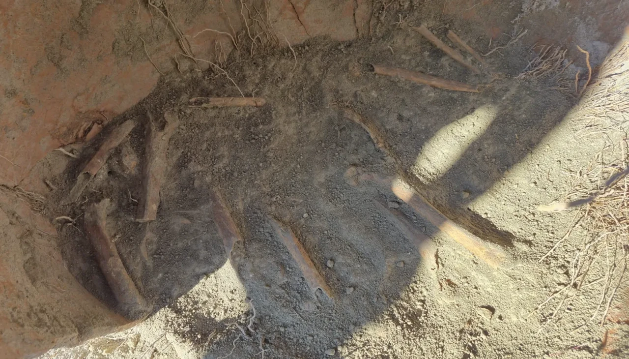 Denizli'de bin yıllık sır: 3.500 yıllık insan kemikleri bulundu