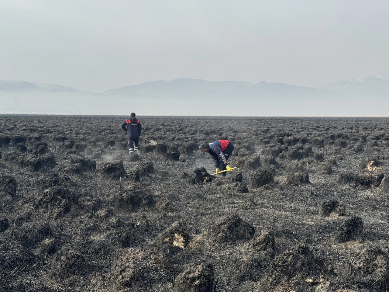Nehil sazlığı yangını kontrol altında: 200 kuş türü etkilendi