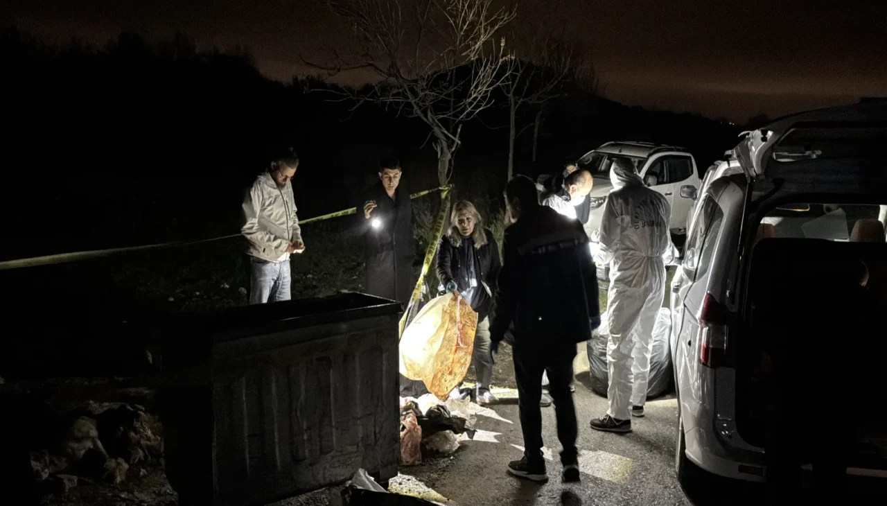 İlkadım’da vahşet: 9 köpek çöp kutusunda ölü halde bulundu