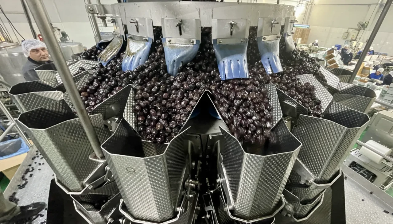 Marmarabirlik’ten zeytinyağı hamlesi: Promosyonla tüketim artacak