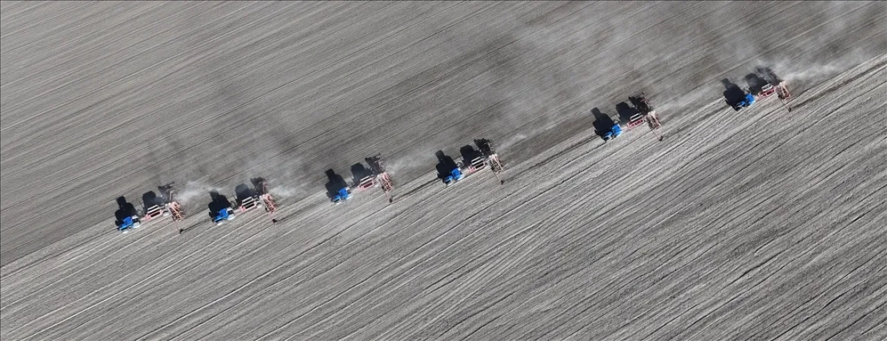 Kırşehir'de 77 bin dekara kuraklığa dayanaklı yerli hububat ekildi