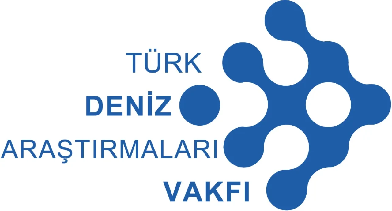 Marmara Denizi'nde müsilaj krizi: Deniz çayırları tehlikede, Önlem alınmazsa ne olacak?