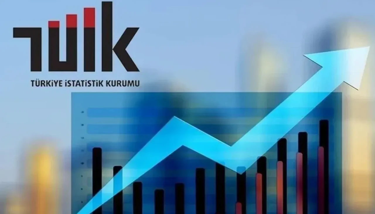 TÜİK mayıs ayı enflasyon verilerini açıkladı: Yıllık enflasyon yüzde 35,41