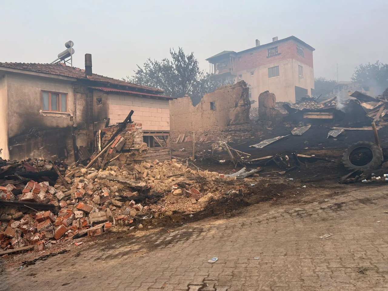 Sakarya'da orman yangını kontrol altına alınmaya çalışılıyor: 464 personel göreve başladı