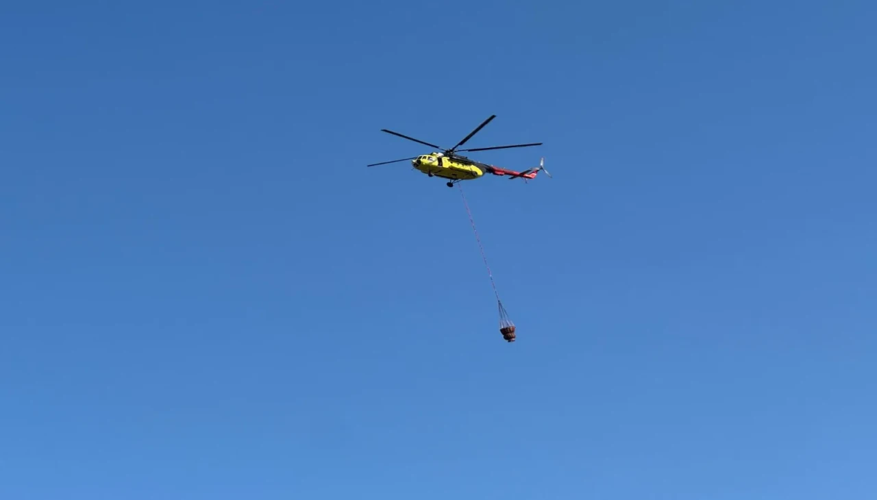 Balıkesir'de orman yangınıyla mücadele sürüyor