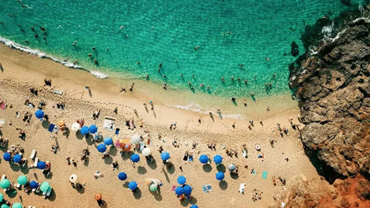 ECDC uyardı: Plajlardaki büyük tehlike Vibrio bakterileri Türkiye kıyılarında