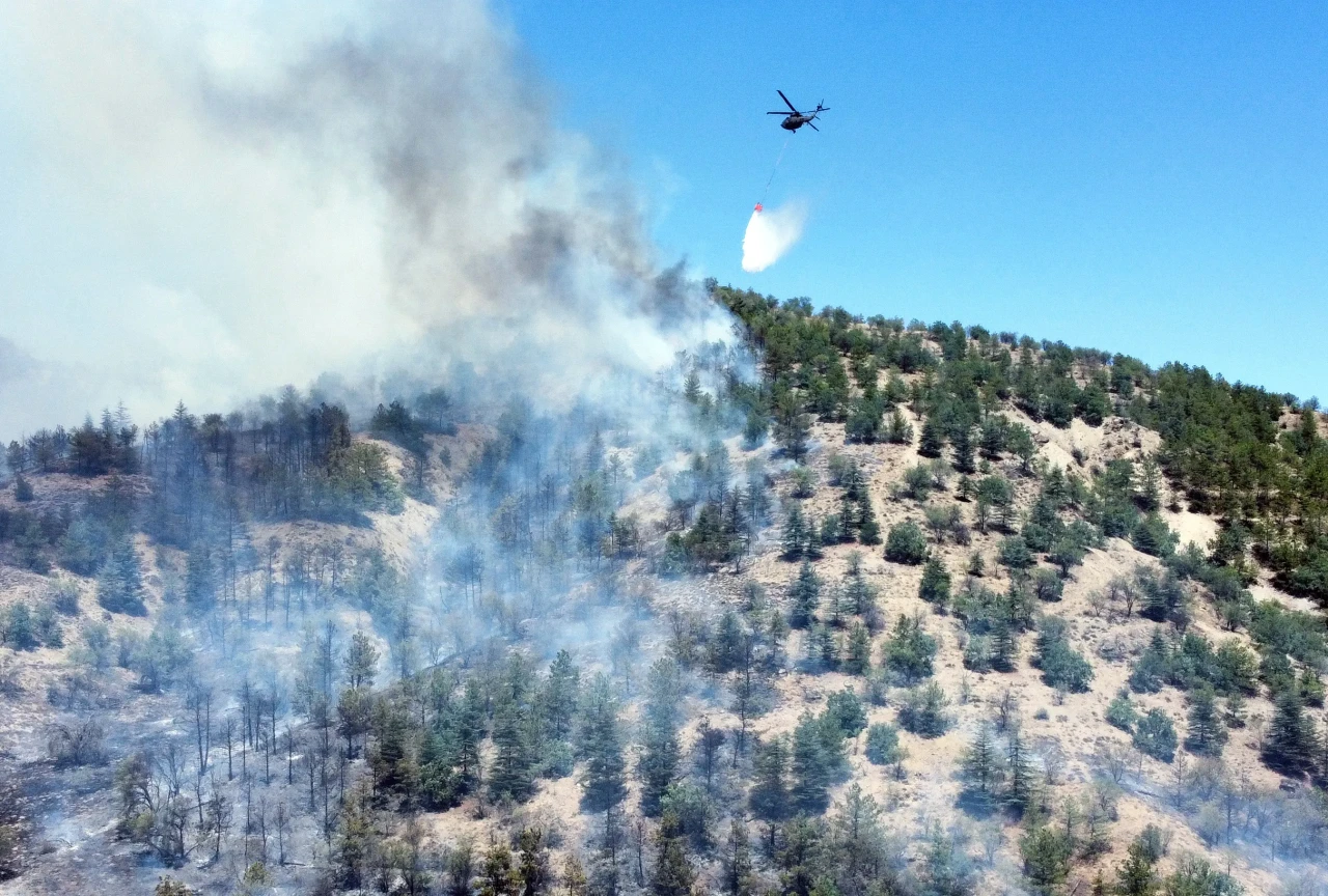 Ankara'da korkutan orman yangını: Dumanlar gökyüzünü kapladı