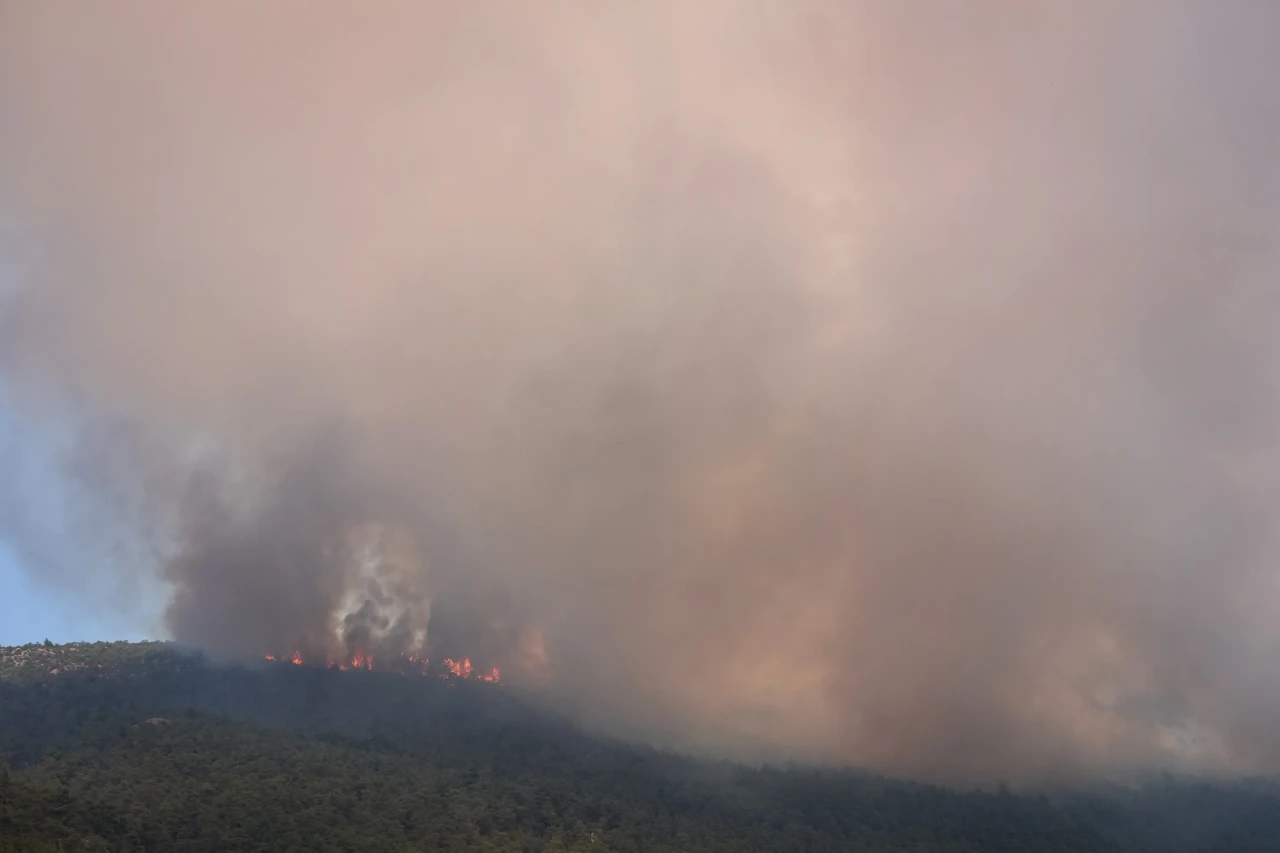 Geyve'deki orman yangını Bilecik'i tehdit altına alıyor: Tahliyeler başladı