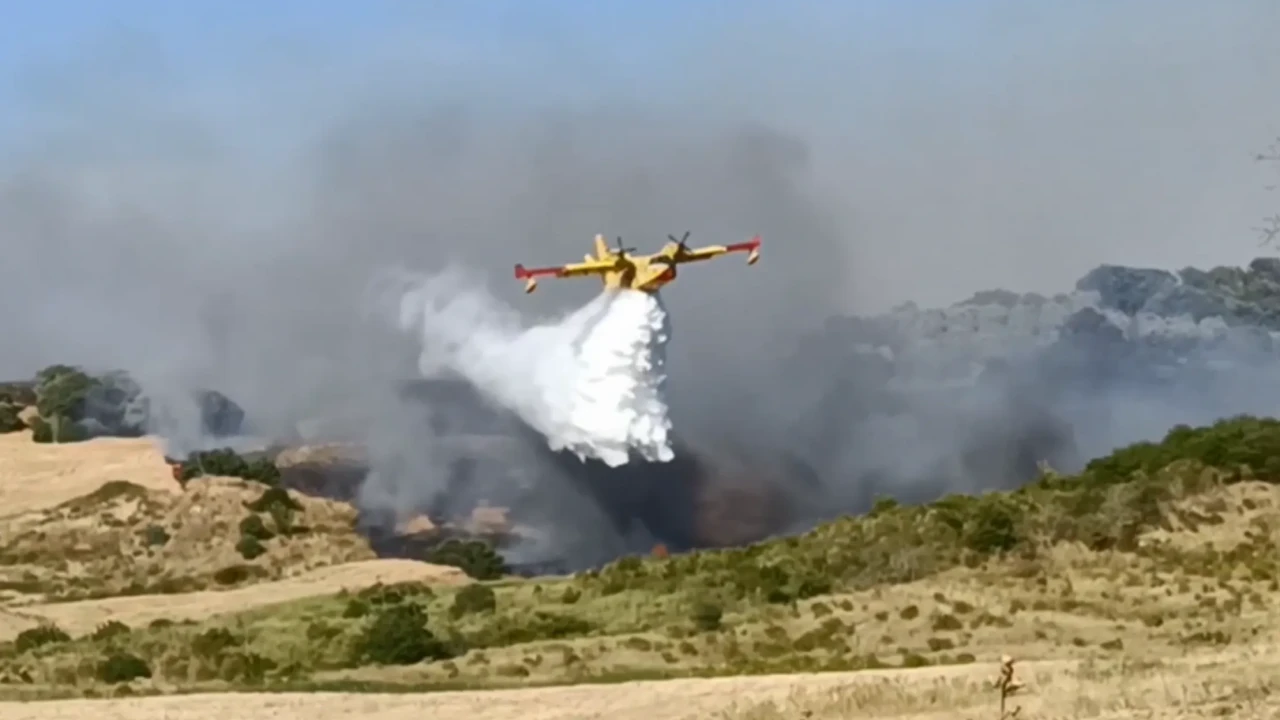 Campobasso'da orman yangını yerleşim alanlarını tehdit ediyor: Müdahale sürüyor