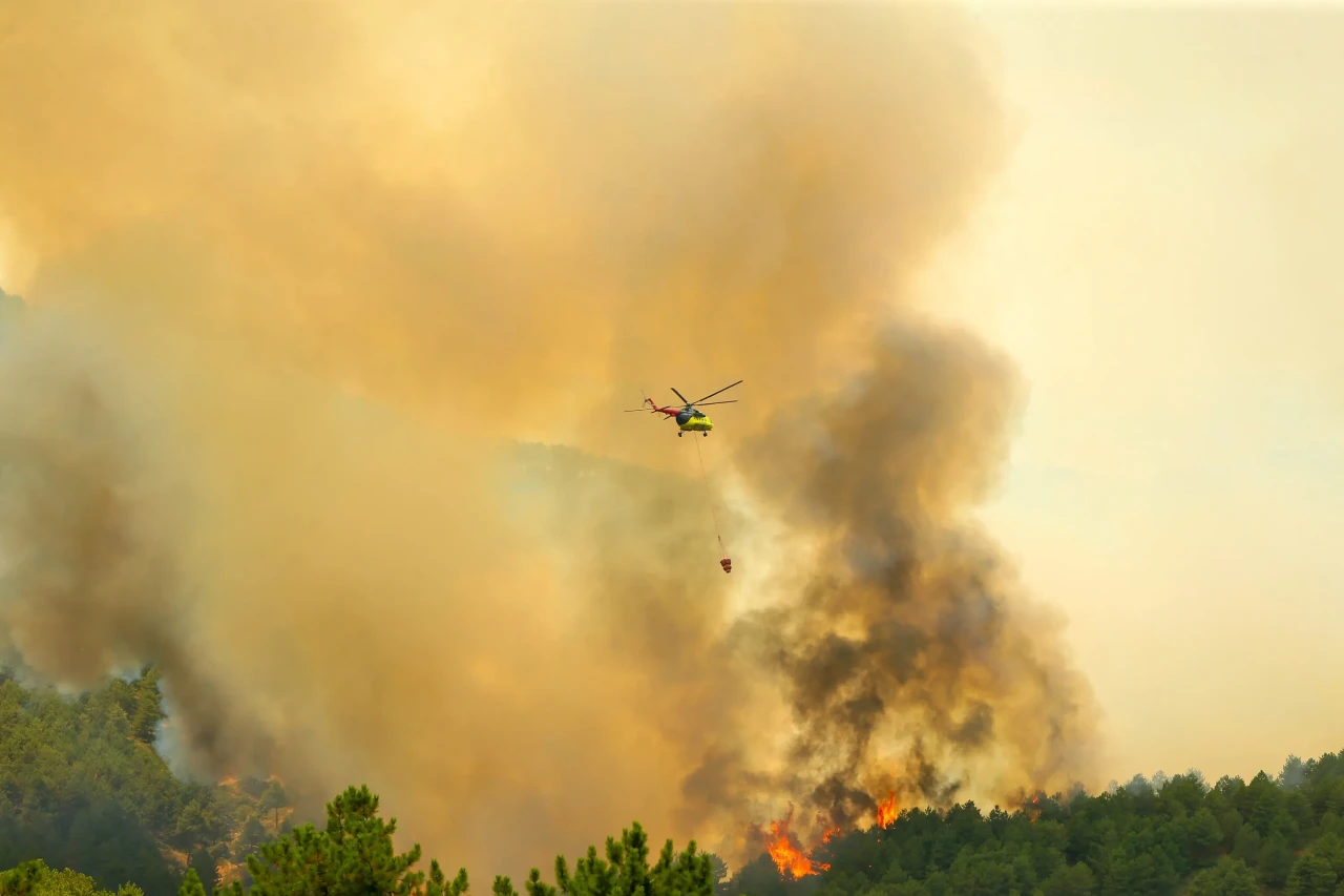 Uşak'taki orman yangını kontrol altında