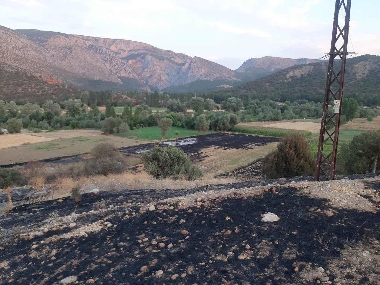 Çorum'da anız yakma faciası: 55 yaşındaki çiftçi hayatını kaybetti