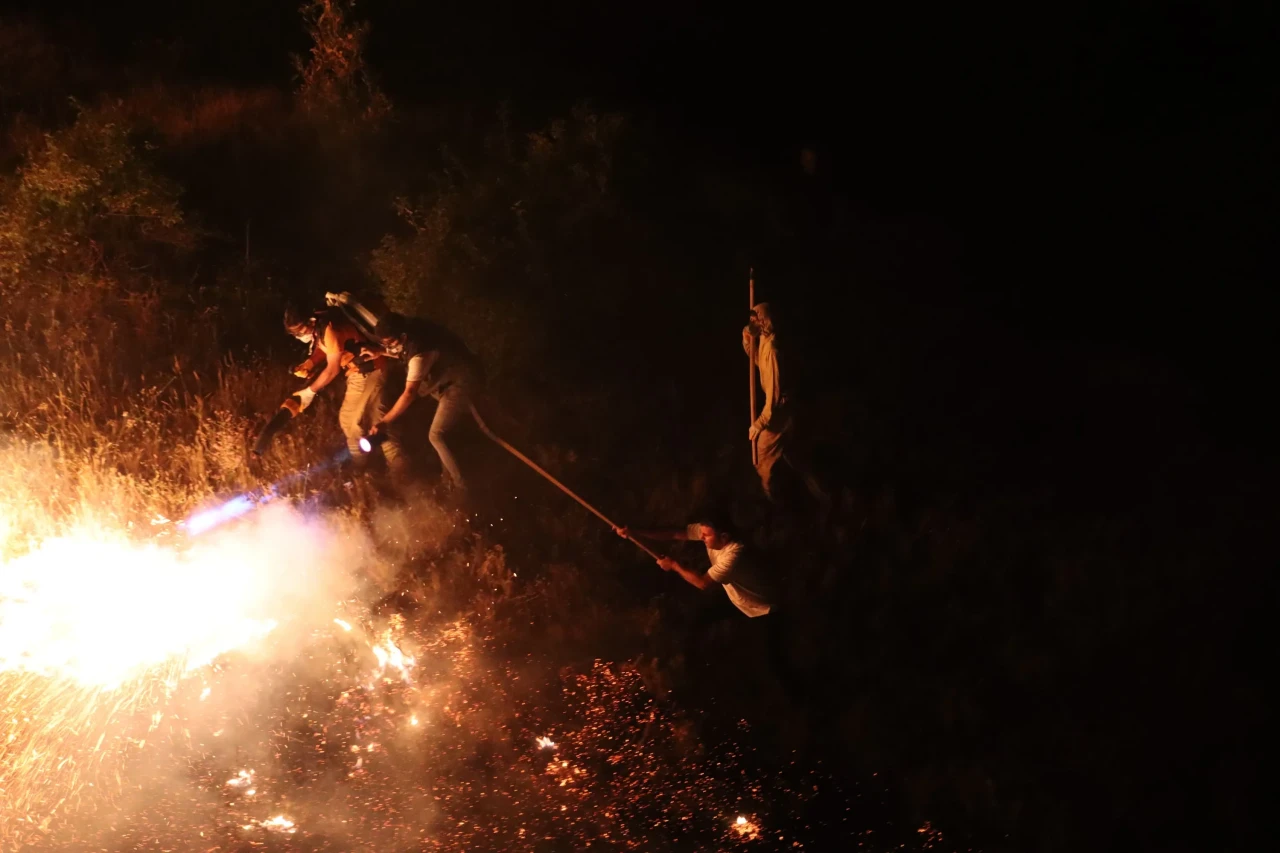 Bingöl'de orman yangını paniği: Kontrol altına alındı ama nedeni belirsiz