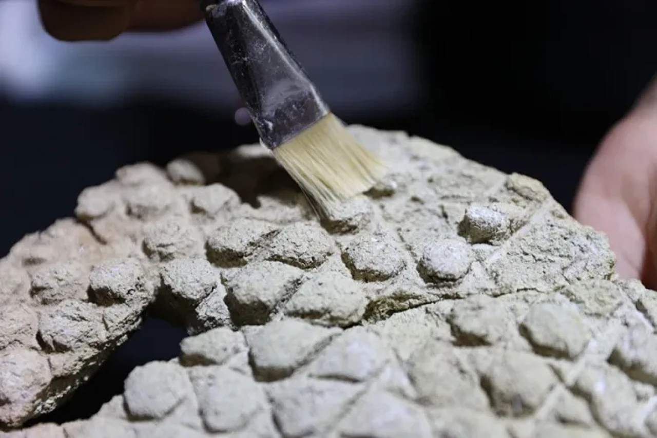 Harran'da tarihî ekmek kalıbı bulundu