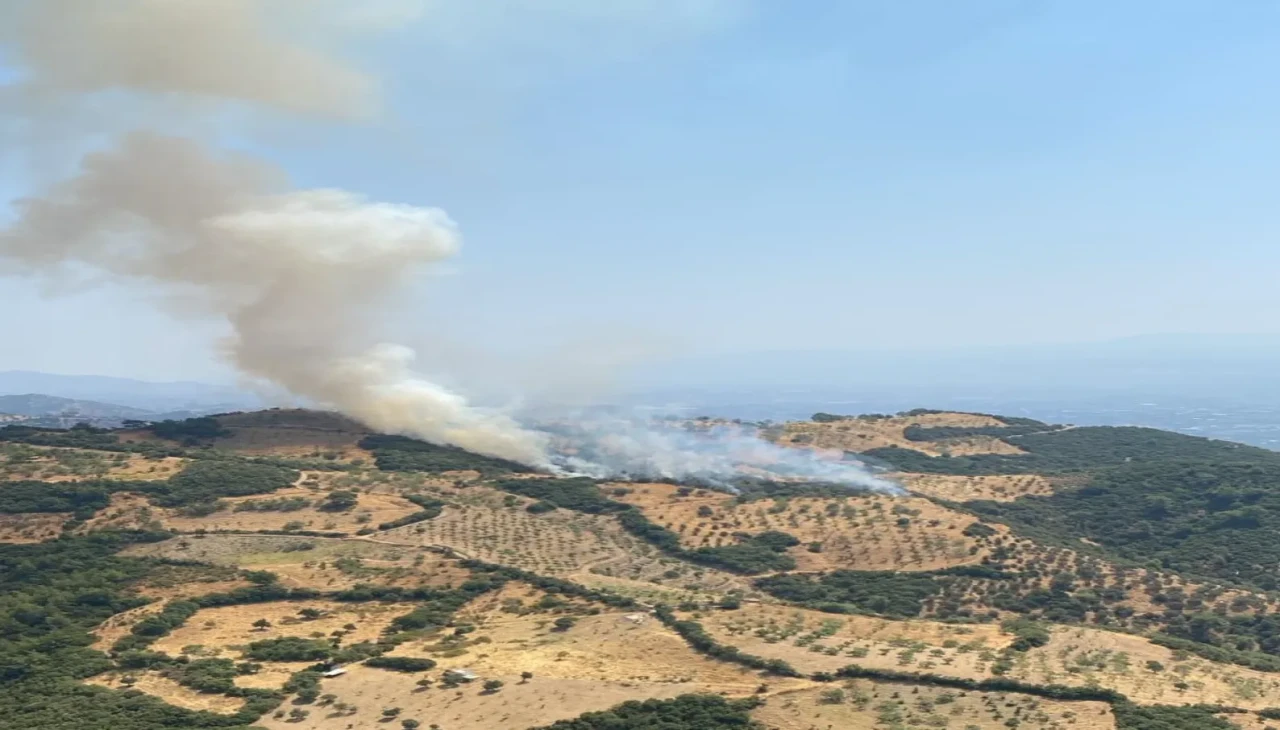 Aydın Efeler’de ziraat arazisinde yangın: Ekipler seferber oldu