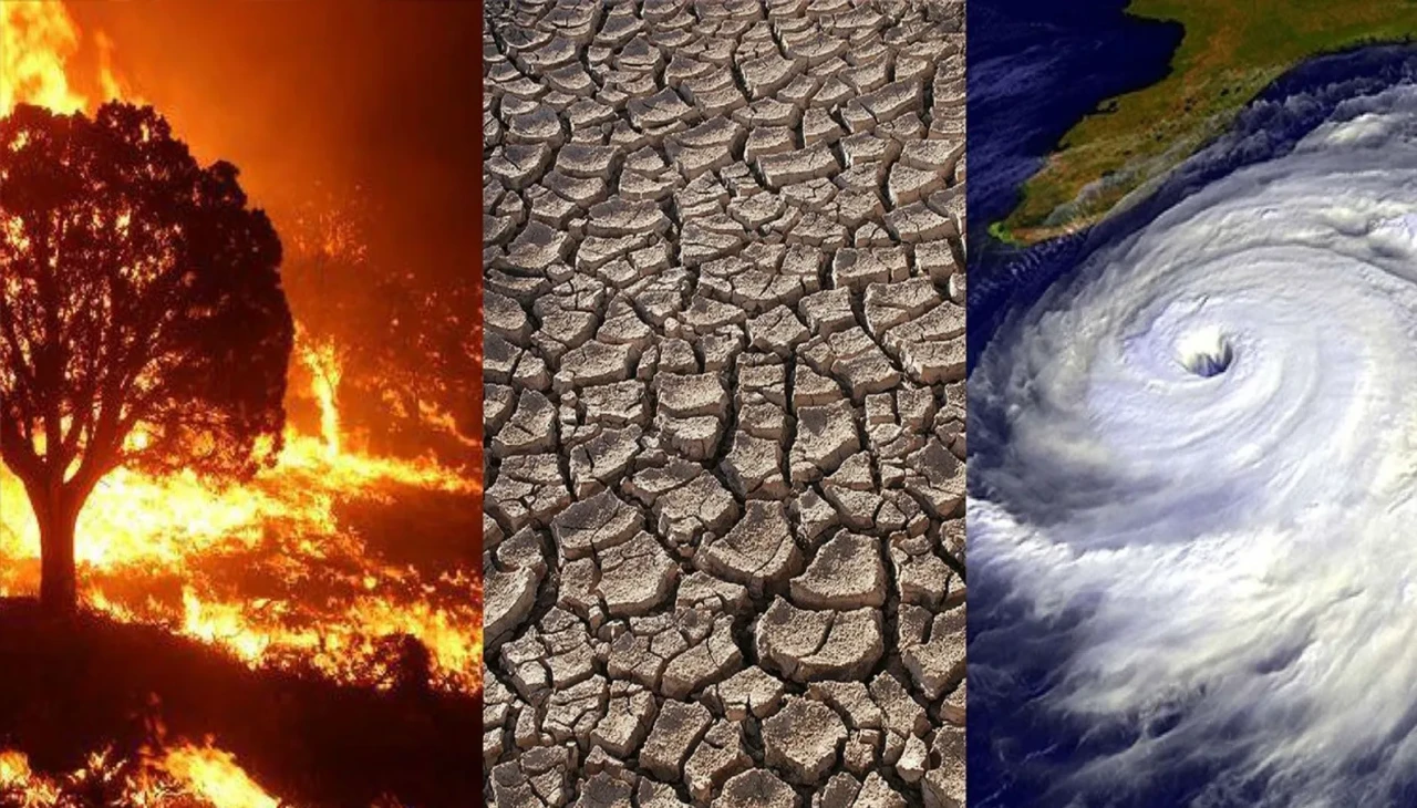 OGM’den 2025-2030 iklim değişikliği stratejisi: Ormancılık ve tarımda yeşil dönüşüm başlıyor