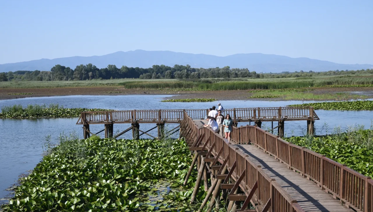 Efteni Gölü Kuş Cenneti: Doğa severlerin kaçış noktası