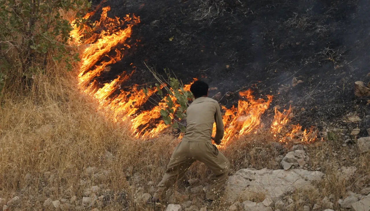 Halepçe'deki orman yangını kontrol altına alındı