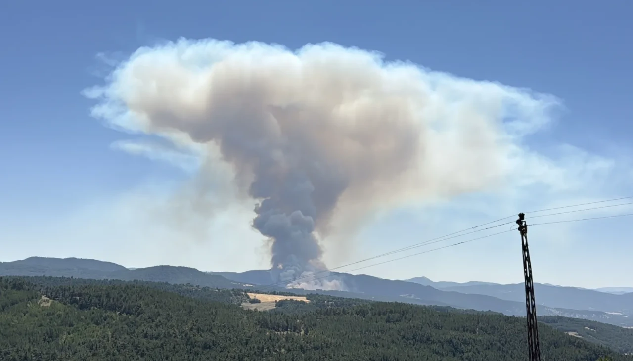 Bolu'da orman yangını: Ekipler havadan ve karadan seferber oldu
