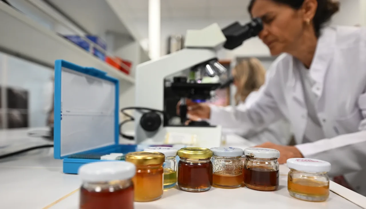 İklim değişikliği kestane balını tehdit ediyor