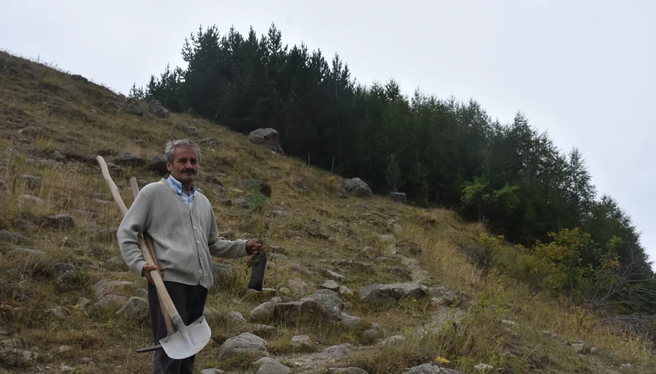 Gümüşhane'de emekli din görevlisinden tam 50 bin fidan