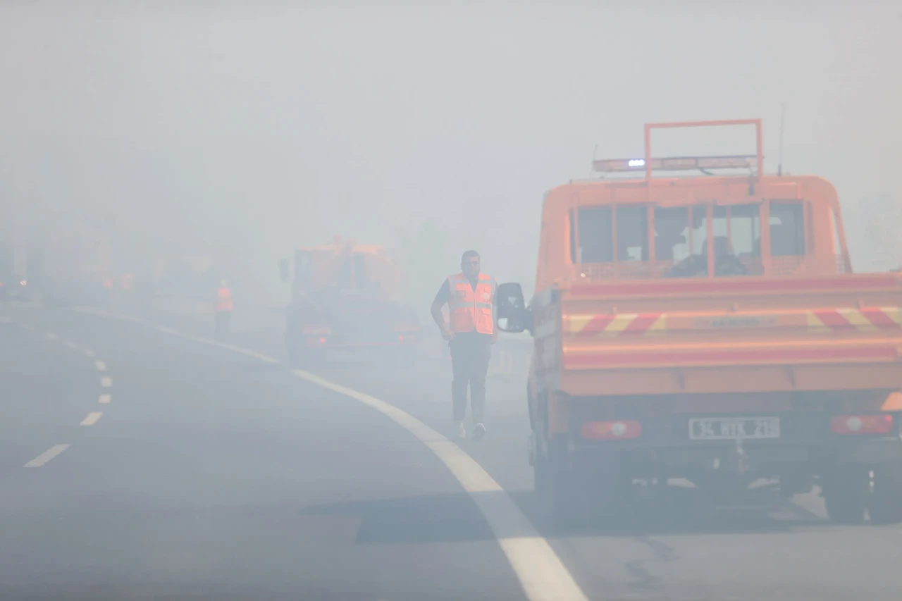 Kırklareli'nde çıkan orman yangını 5 saatlik mücadeleyle söndürüldü: Avrupa Otoyolu trafiğe açıldı