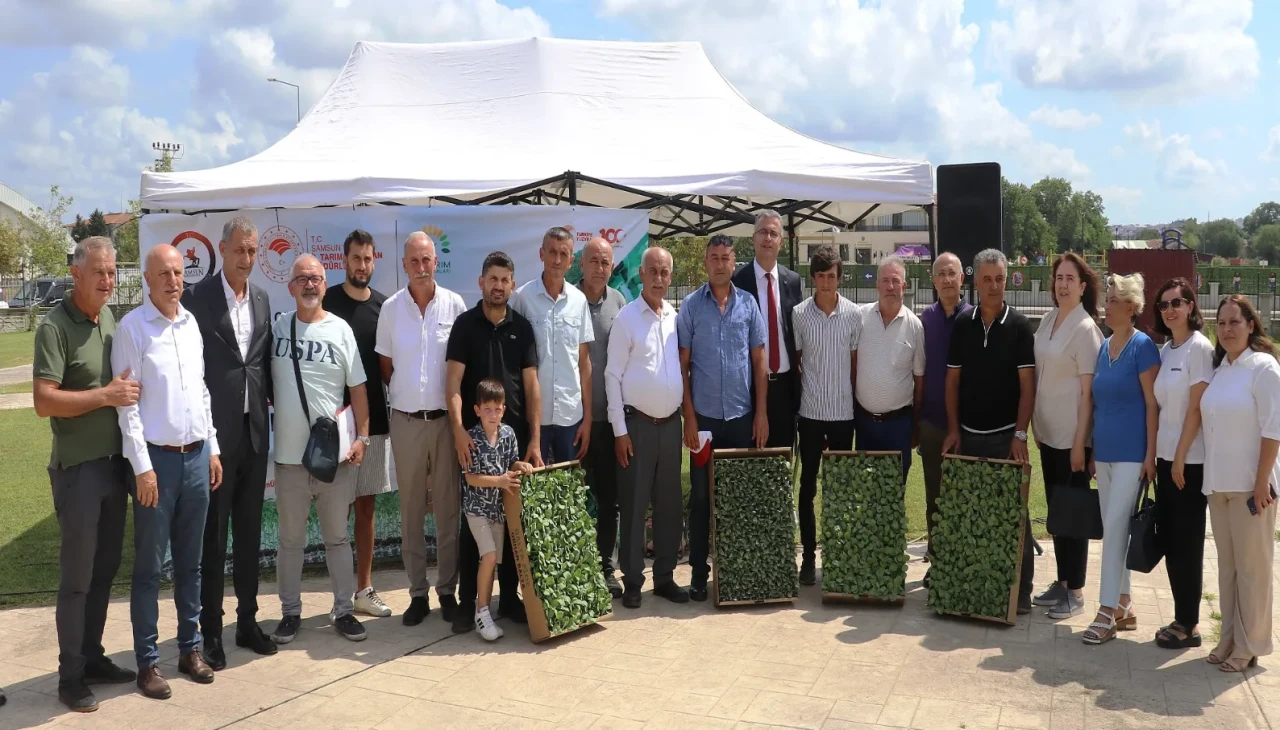 Bafra’da çiftçilere ihracata uygun sebze fidesi dağıtıldı