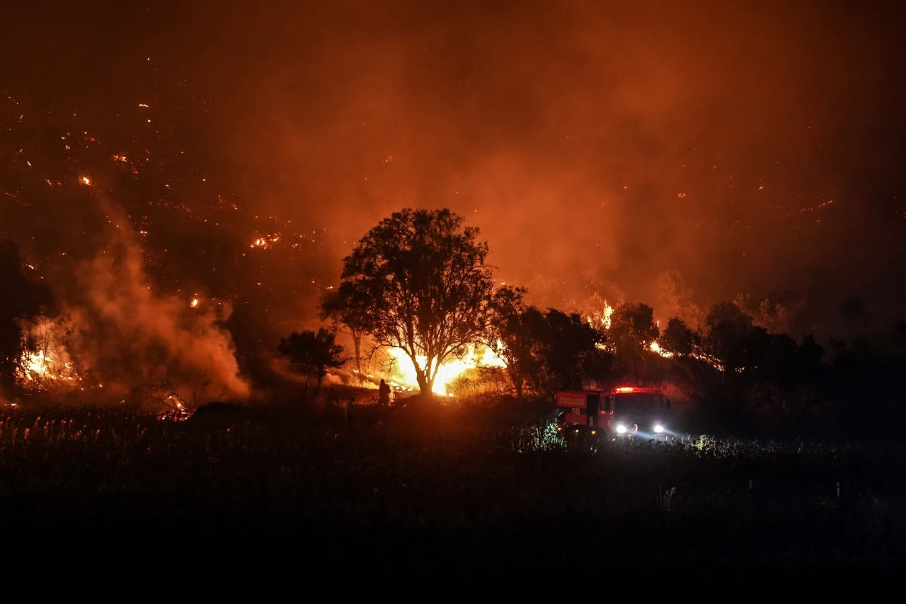 Çanakkale'de orman yangını: 251 kişi tahliye edildi