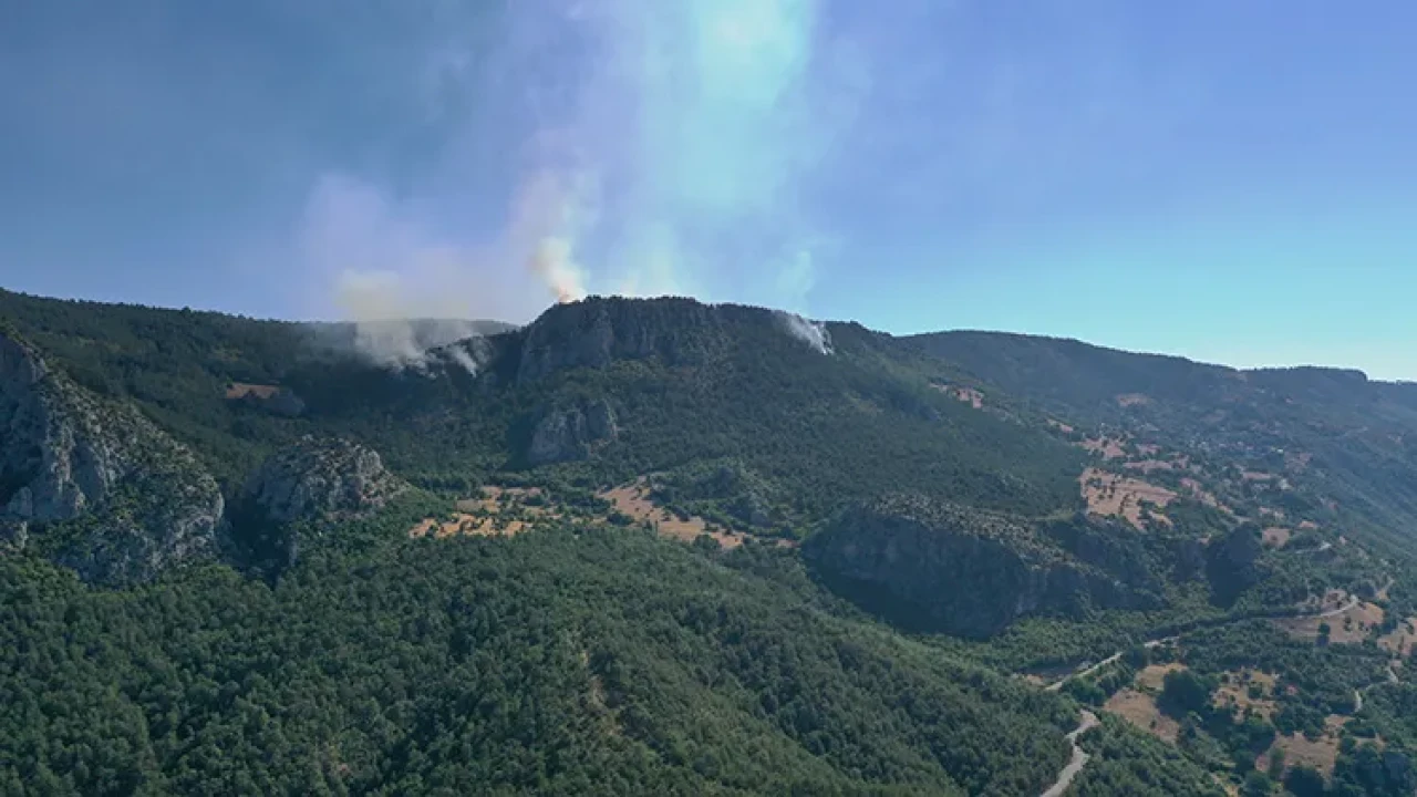 Sinop'ta çıkan orman yangına müdahale ediliyor