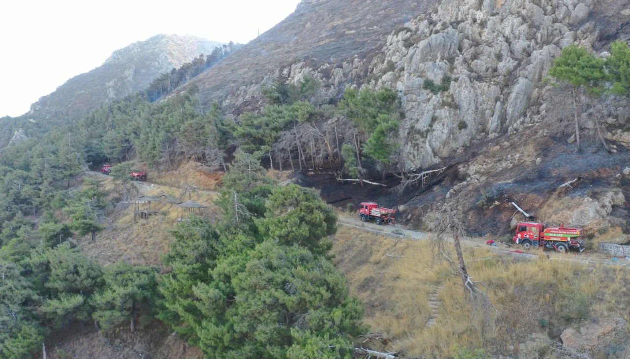 Antakya'daki orman yangını kontrol altına alındı: Soğutma çalışmaları sürüyor