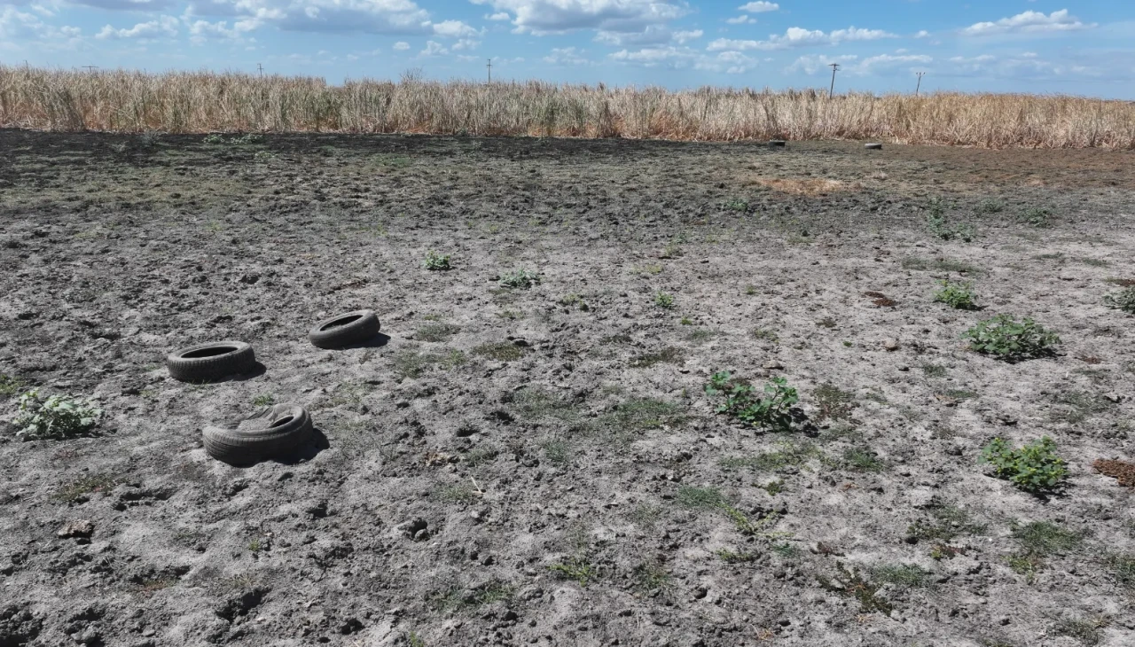 Edirne Yağcılı köyündeki gölet tamamen kurudu
