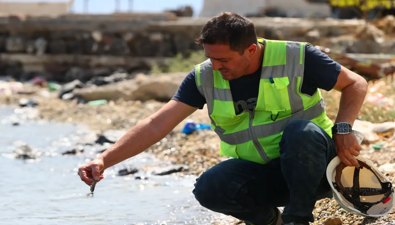 İzmir Körfezi'nde balık ölümleri yeniden alarm veriyor