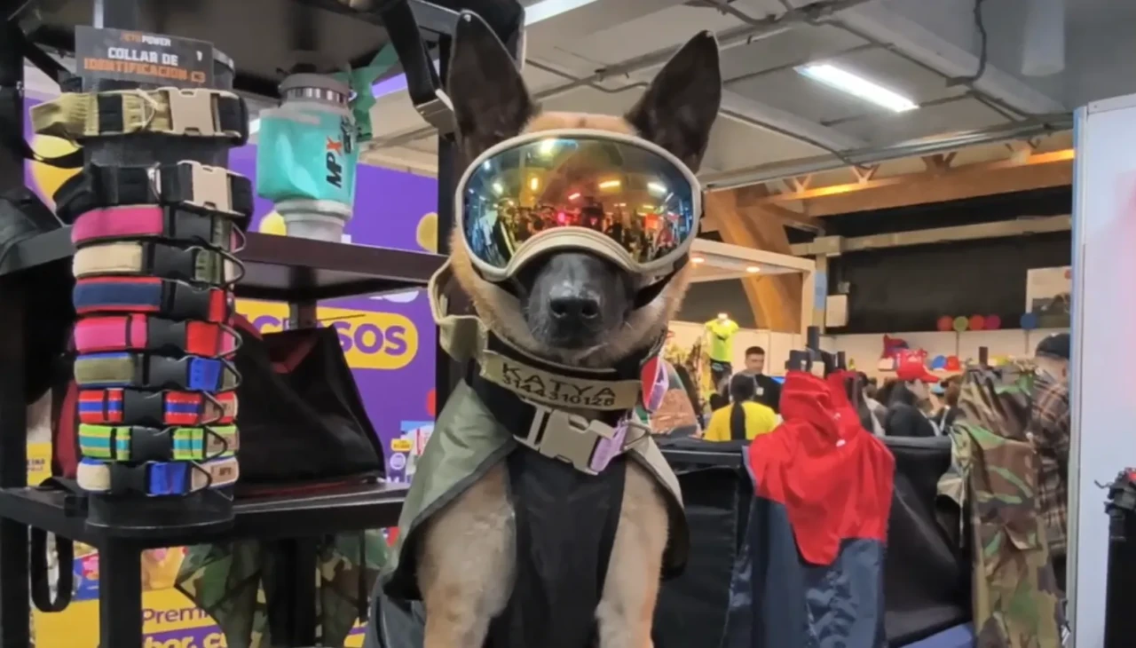 Kolombiya'da ExpoPet Fuarı