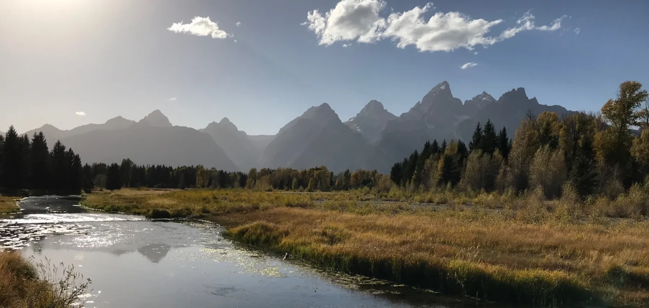 Jackson Hole: Doğanın ve Ekonominin büyüleyici kesişimi