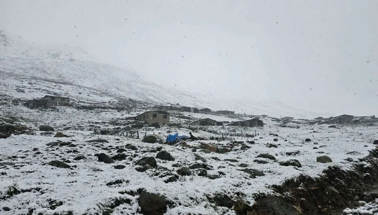 Rize'nin yüksek kesimlerinde kar yağışı etkili oldu