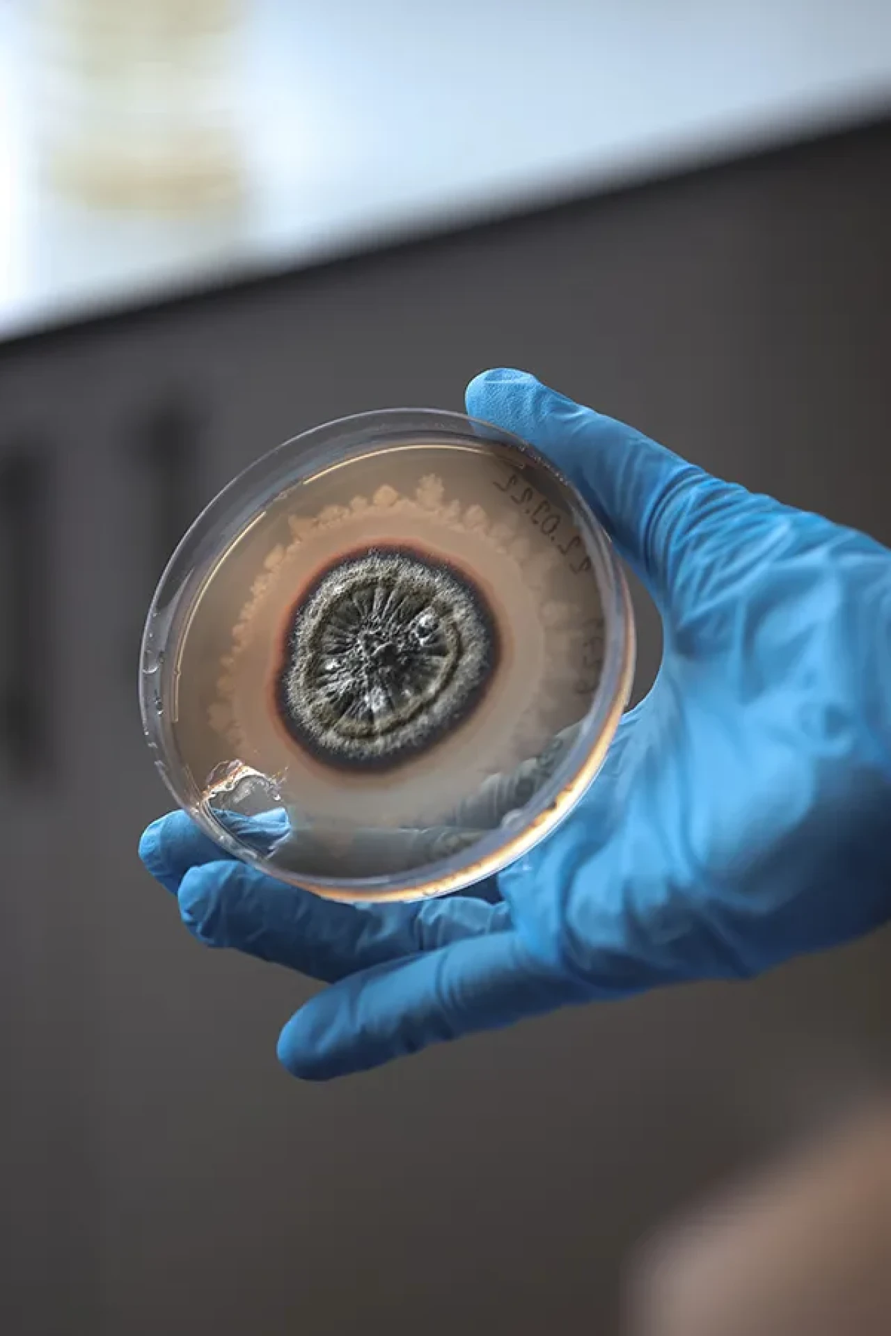 Pestisitlere dair her şey: Tarihçesi, Kullanım alanları ve sağlık etkileri neler?