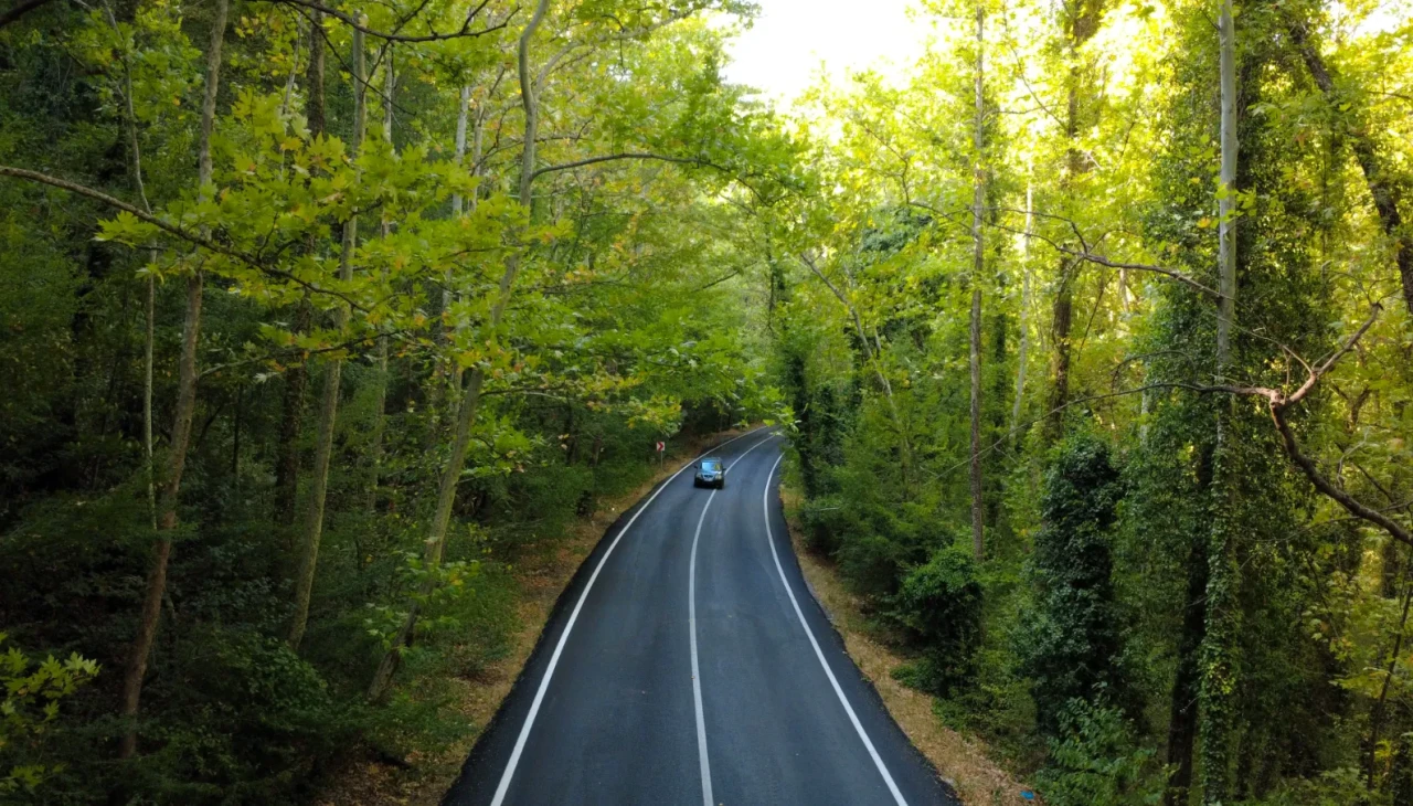 Safranbolu'nun ağaç tüneli: Doğanın huzuru ve tarihin buluşma noktası