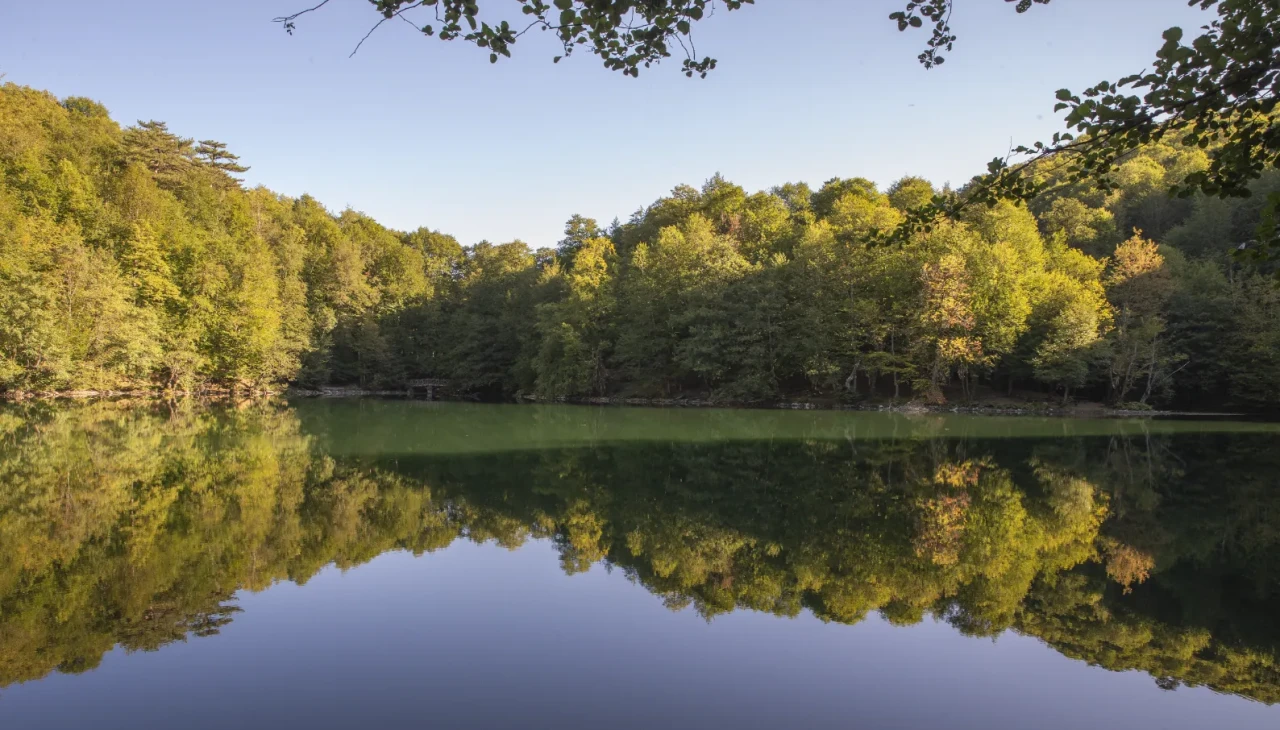 Bolu’nun orman denizi Yedigöller'de sonbahar manzaraları