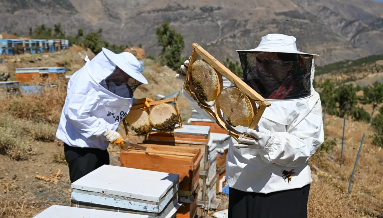 Şehir hayatını bırakan çift 350 kovanla organik bal üretiyor