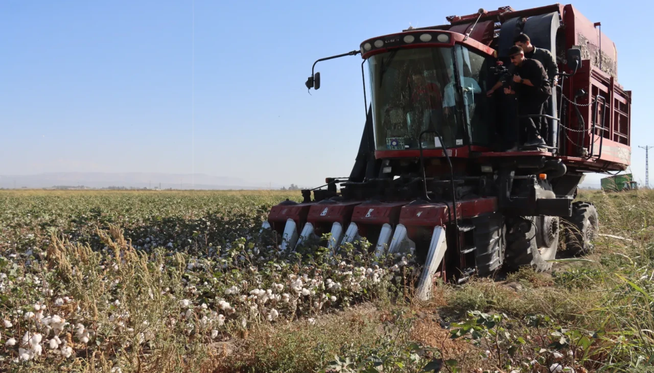Hatay’da pamuk hasadı başladı: 140 bin ton rekolte bekleniyor