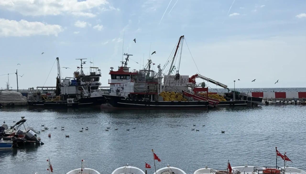 Tekirdağlı balıkçılar poyraz nedeniyle limanda bekliyor